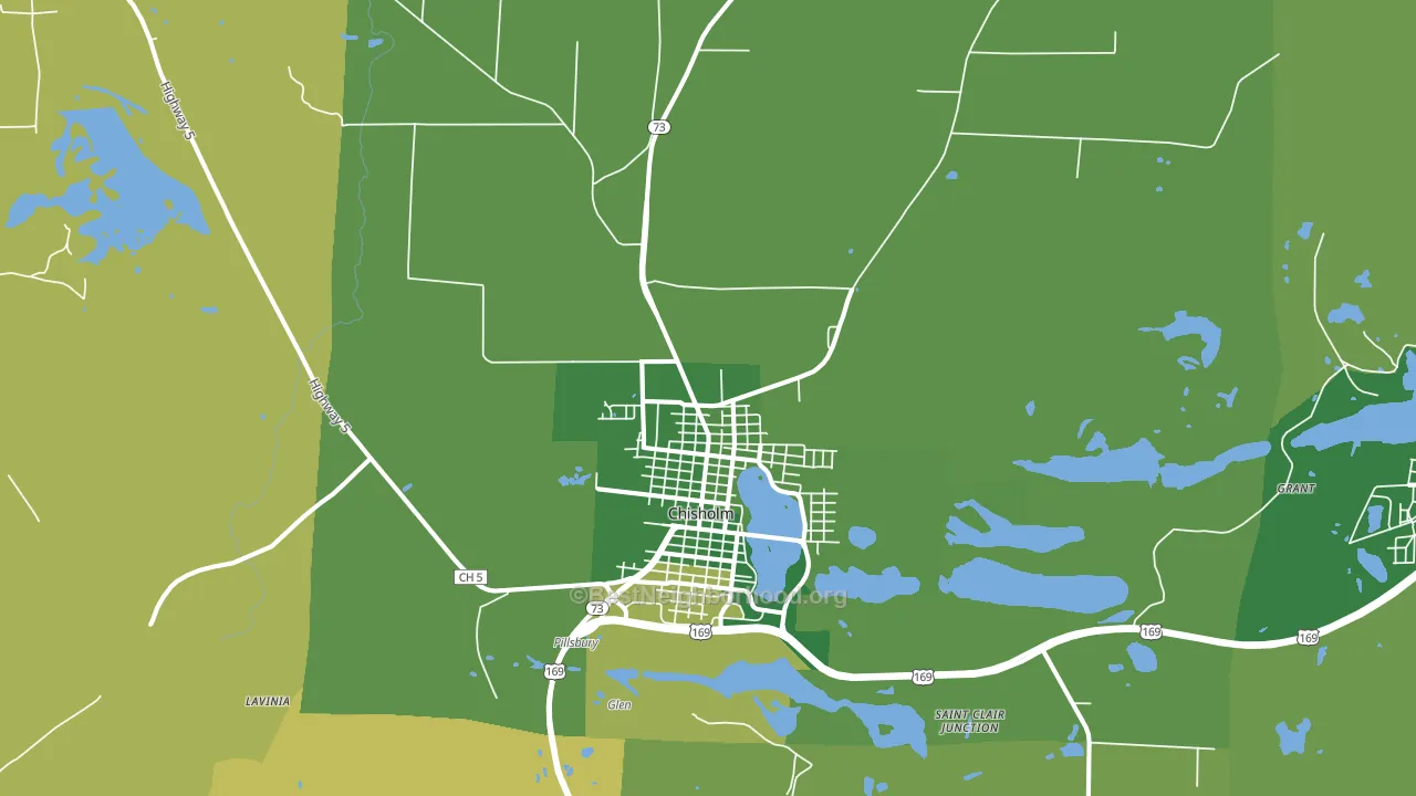 55719, MN block-group voter-turnout map