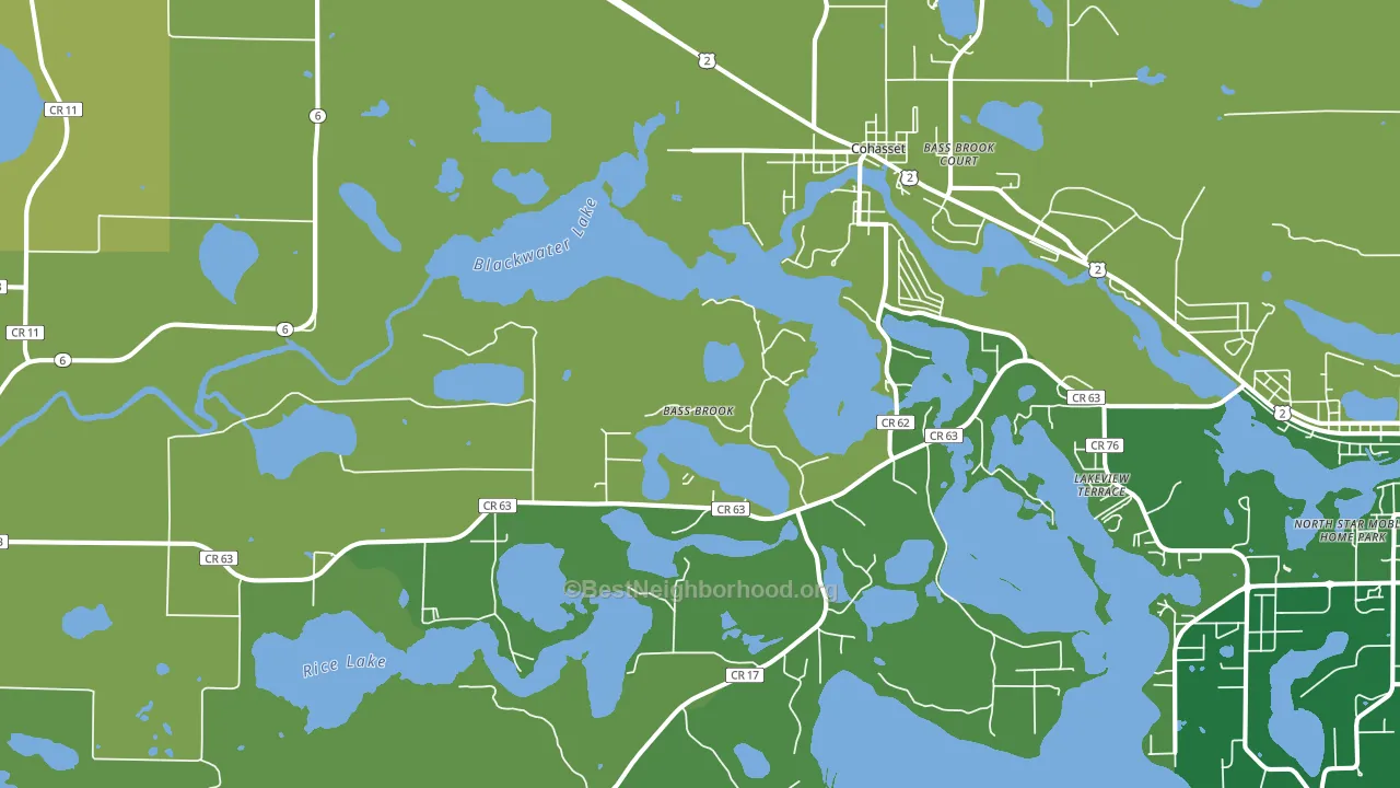55721, MN block-group voter-turnout map