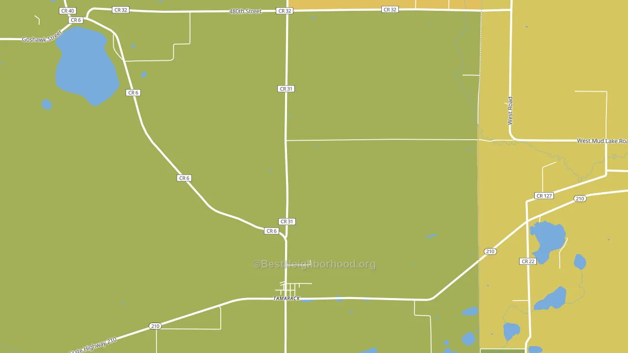 55787, MN block-group voter-turnout map