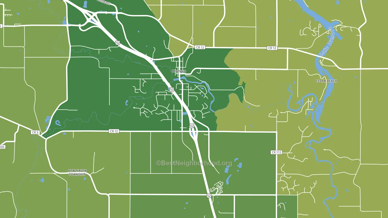55960, MN block-group voter-turnout map