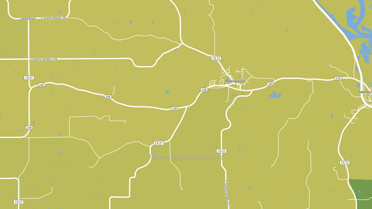 55969, MN block-group voter-turnout map