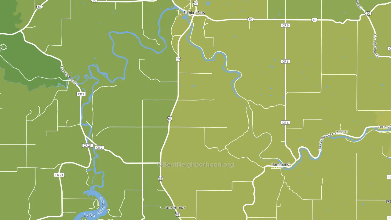 55991, MN block-group voter-turnout map