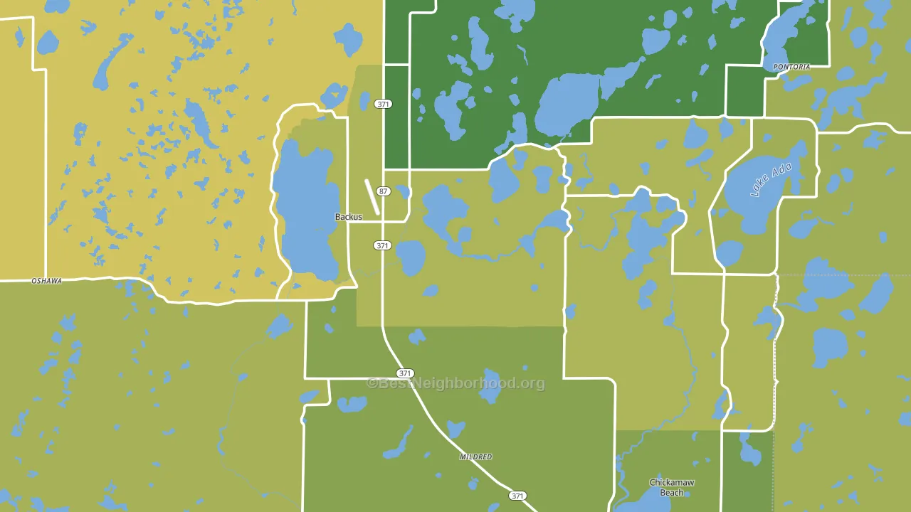 56435, MN block-group voter-turnout map