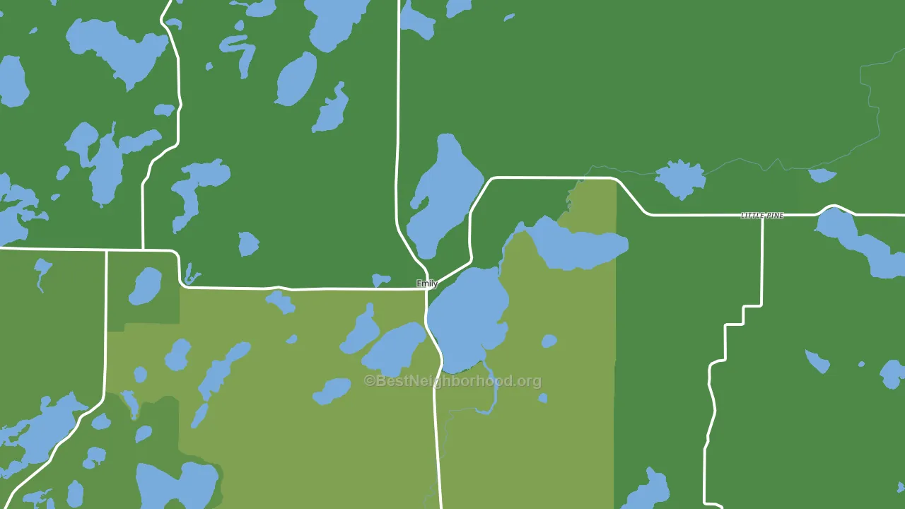 56447, MN block-group voter-turnout map