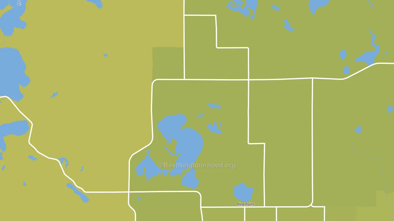 56575, MN block-group voter-turnout map