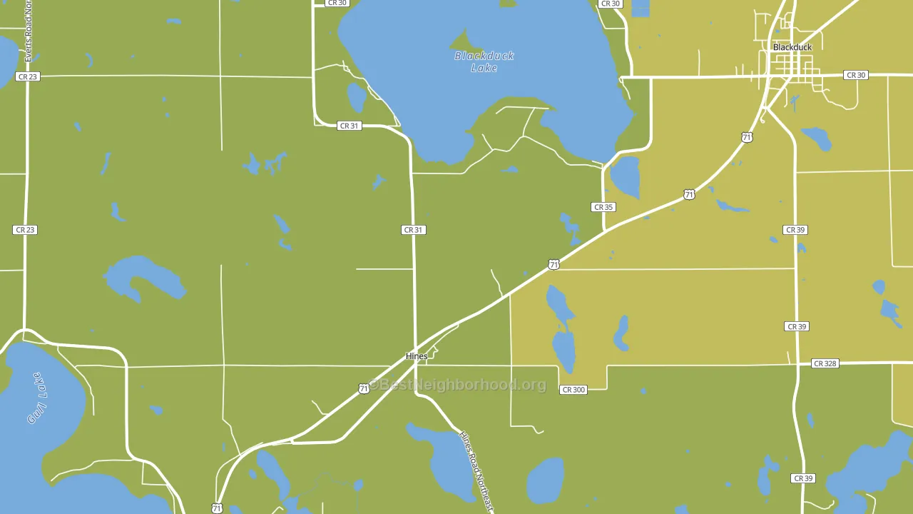 56647, MN block-group voter-turnout map