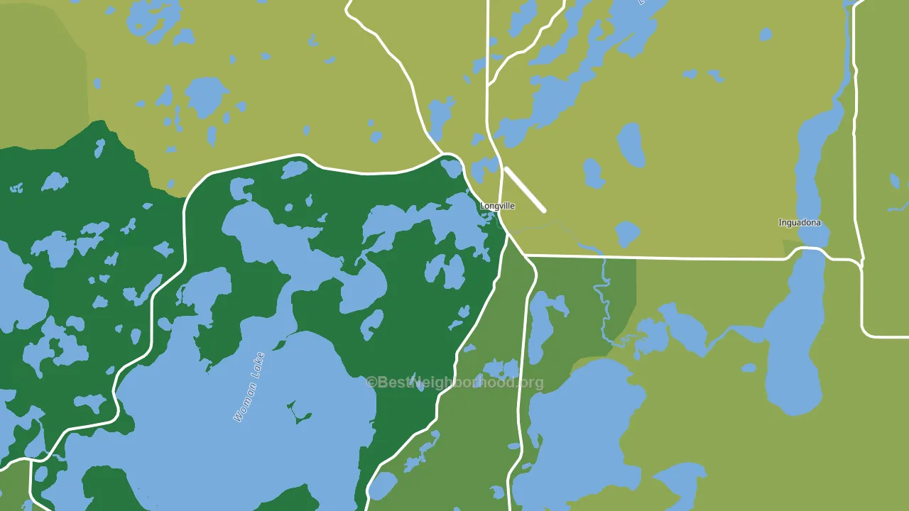 56655, MN block-group voter-turnout map