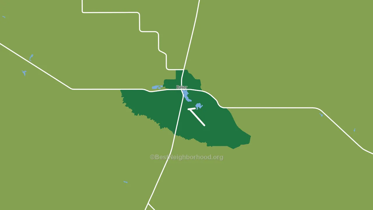 59313, MT block-group voter-turnout map