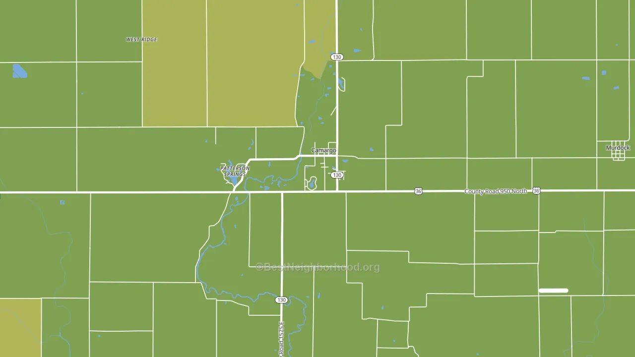 61919, IL block-group voter-turnout map