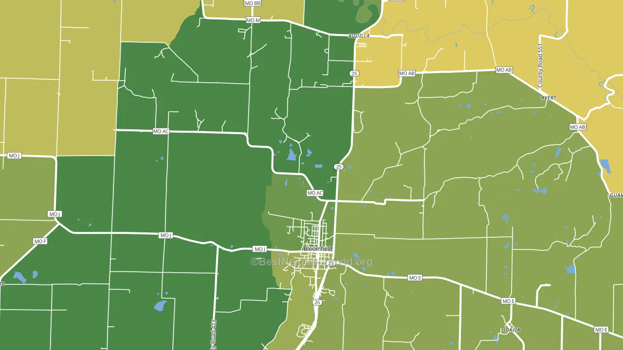 63825, MO block-group voter-turnout map