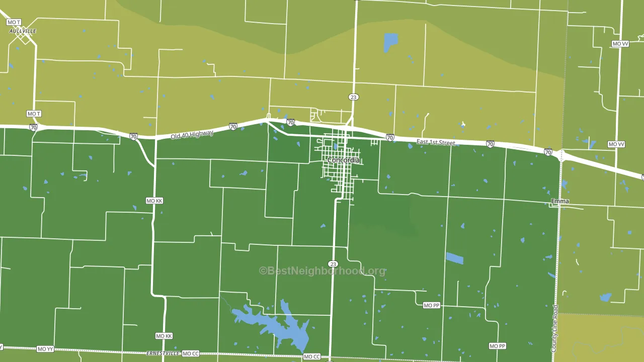 64020, MO block-group voter-turnout map