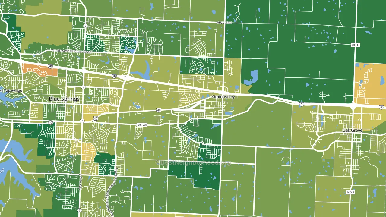 64029, MO block-group voter-turnout map