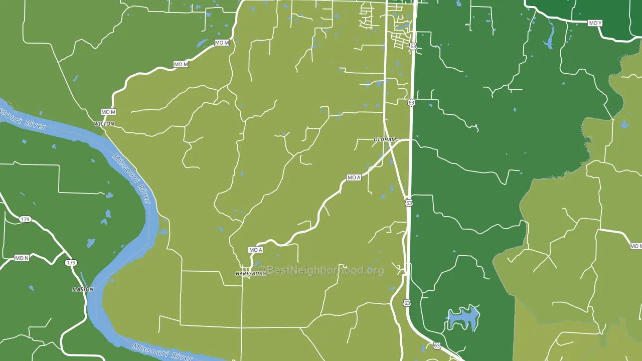 65039, MO block-group voter-turnout map