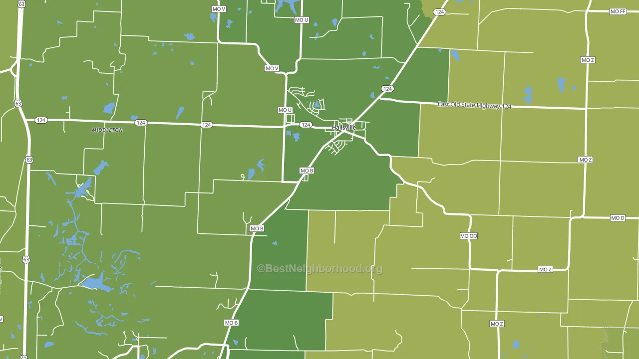 65255, MO block-group voter-turnout map