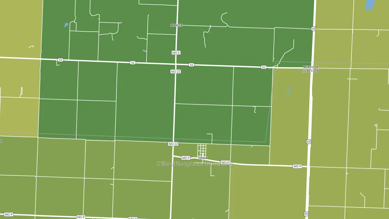 65335, MO block-group voter-turnout map
