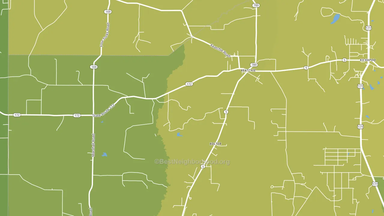71046, LA block-group voter-turnout map