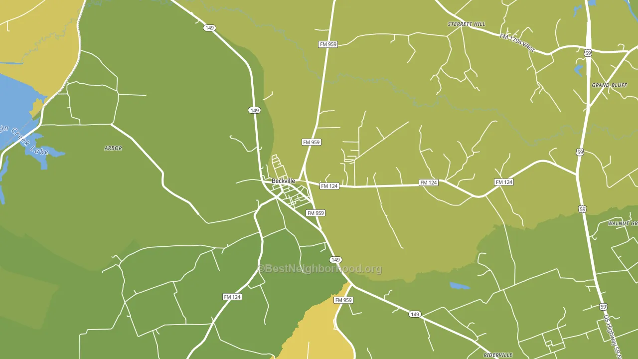 75631, TX block-group voter-turnout map
