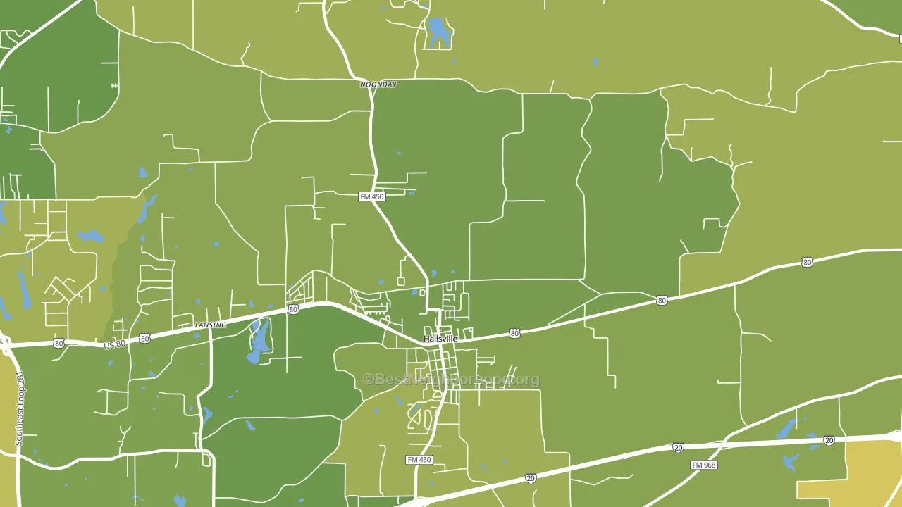 75650, TX block-group voter-turnout map