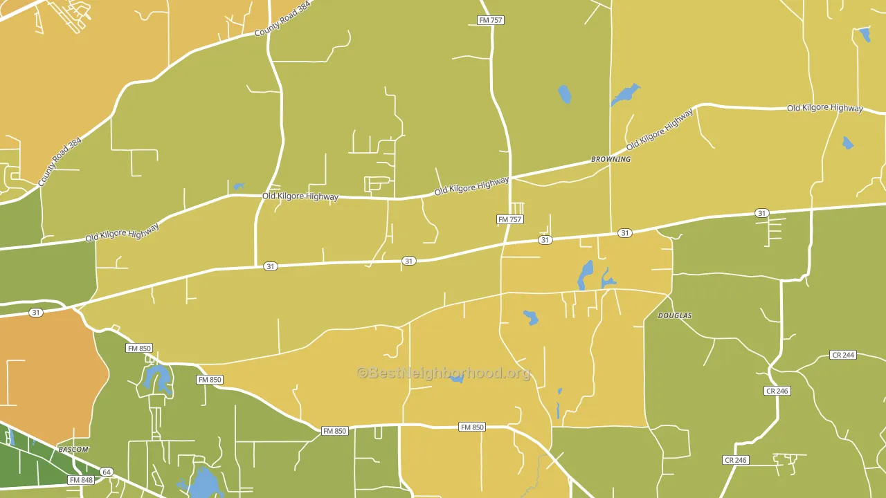 75705, TX block-group voter-turnout map