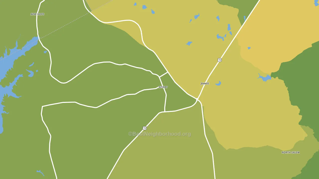 75846, TX block-group voter-turnout map