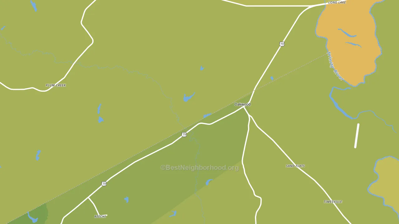 75855, TX block-group voter-turnout map