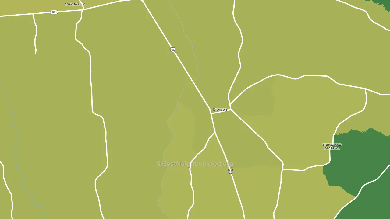 75930, TX block-group voter-turnout map