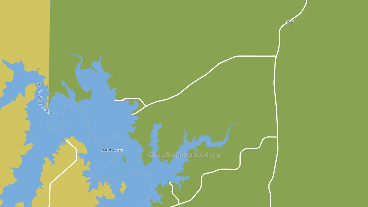 76888, TX block-group voter-turnout map