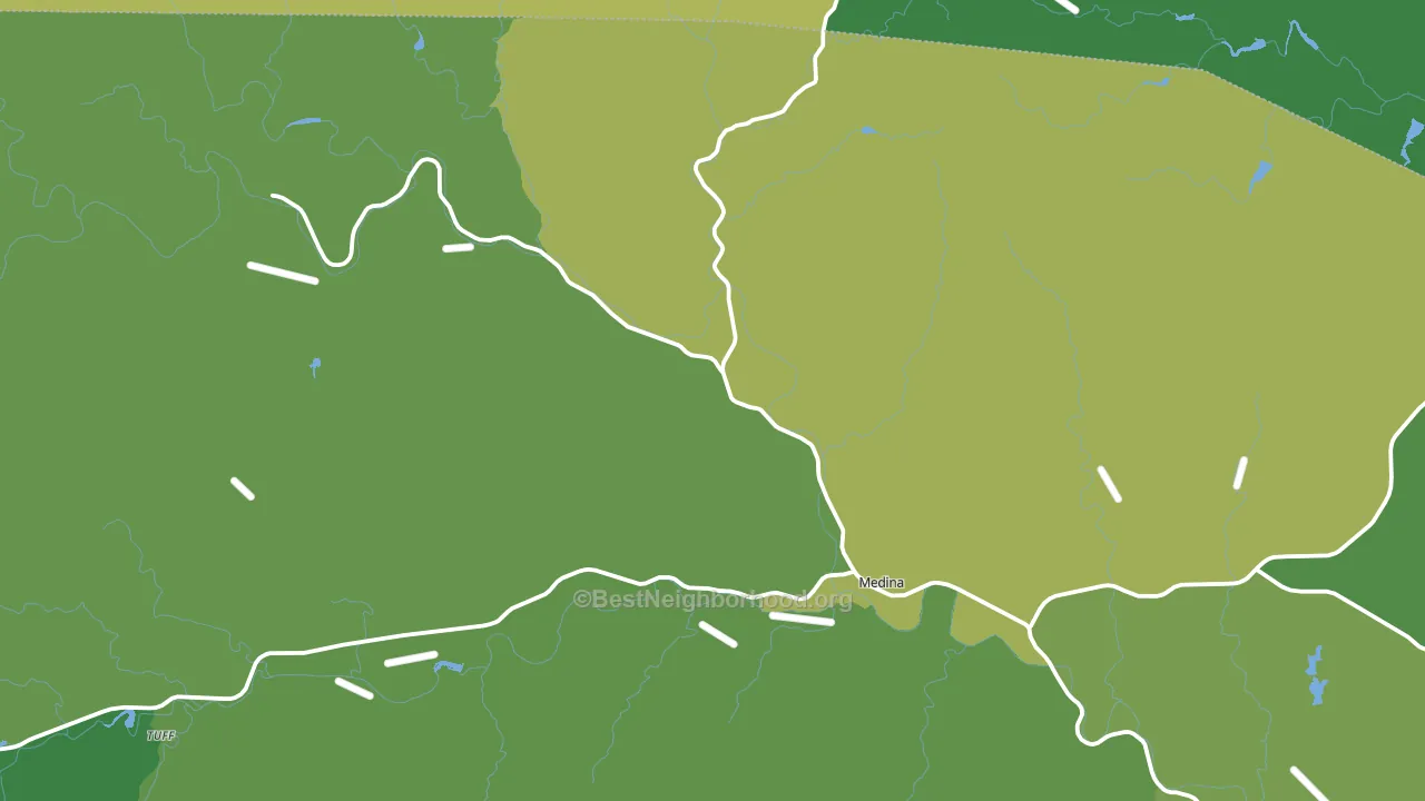 78055, TX block-group voter-turnout map