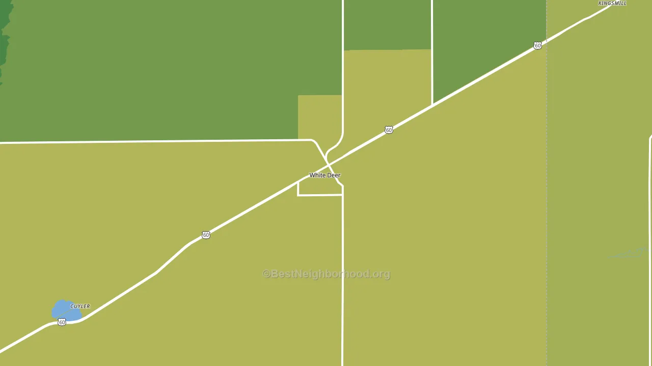79097, TX block-group voter-turnout map