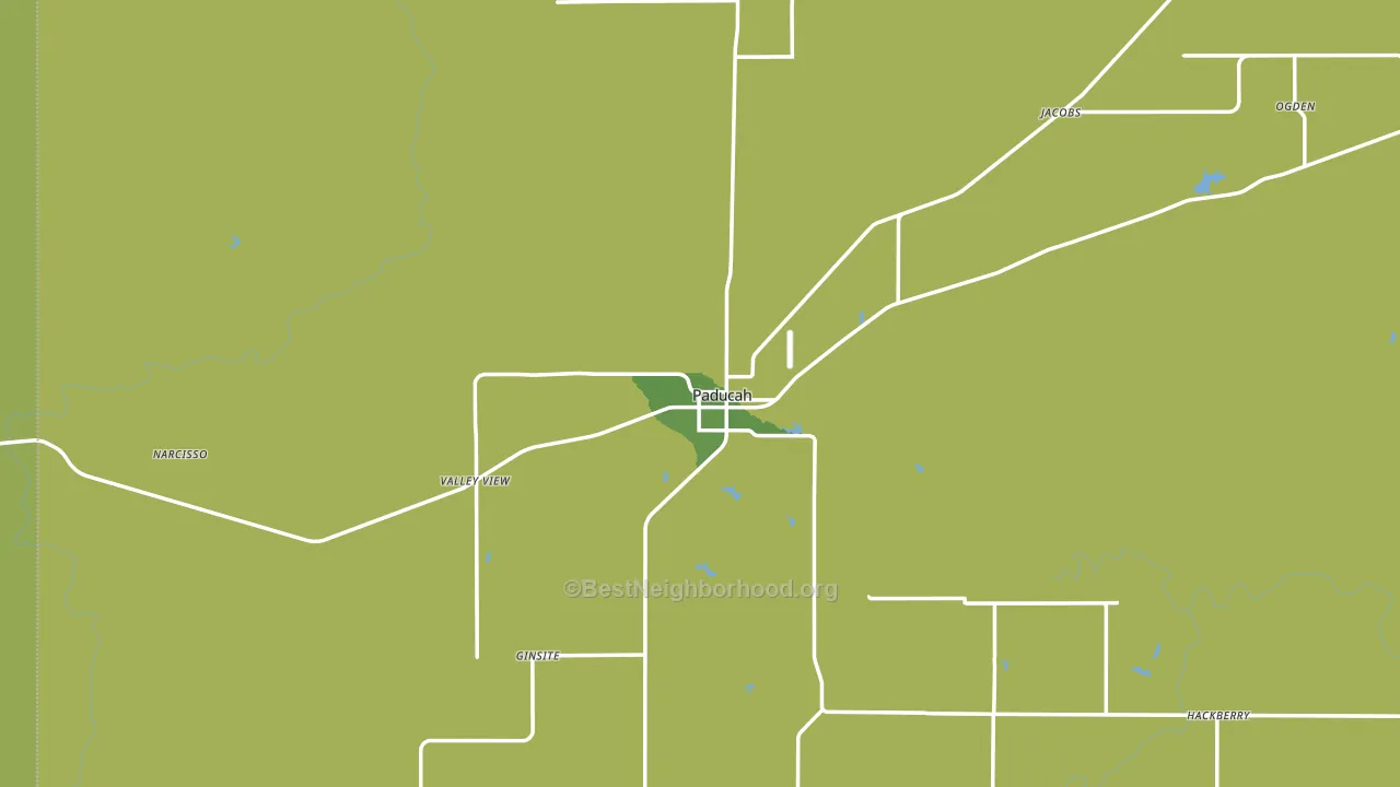 79248, TX block-group voter-turnout map