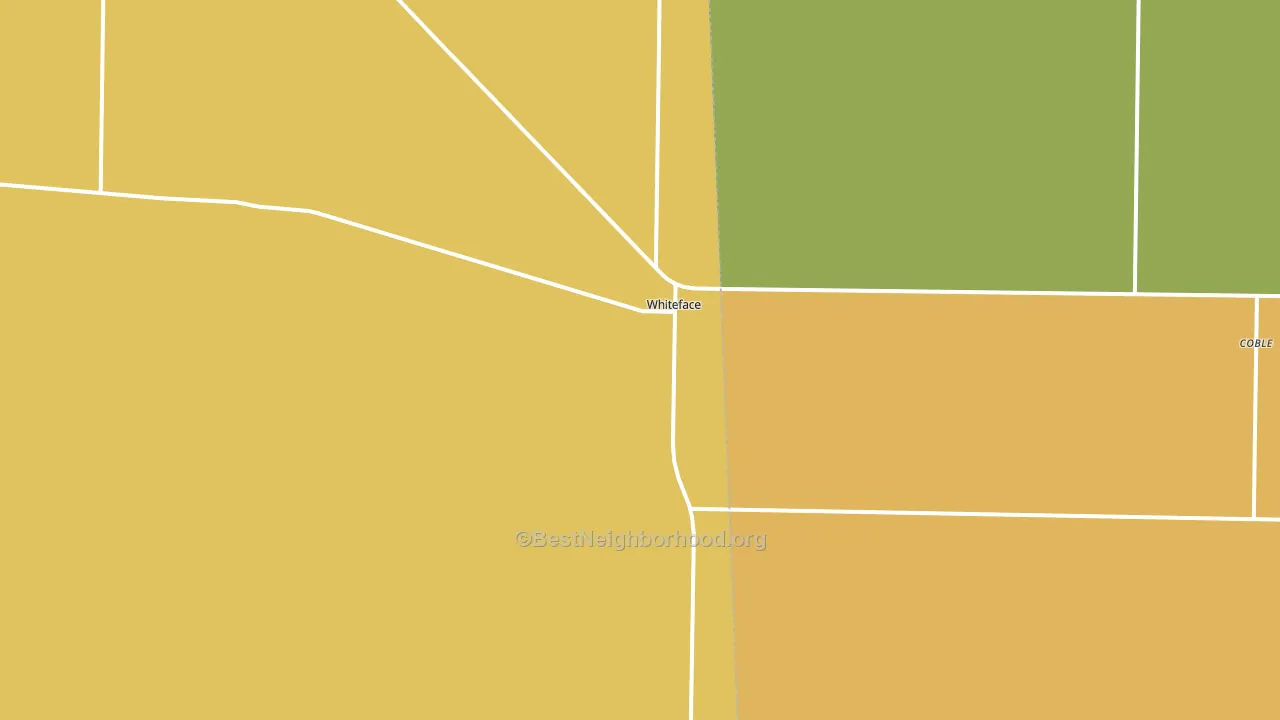 79379, TX block-group voter-turnout map