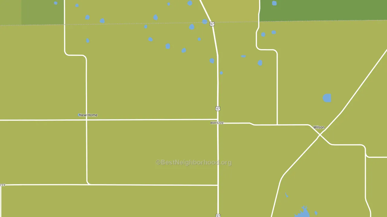 79381, TX block-group voter-turnout map