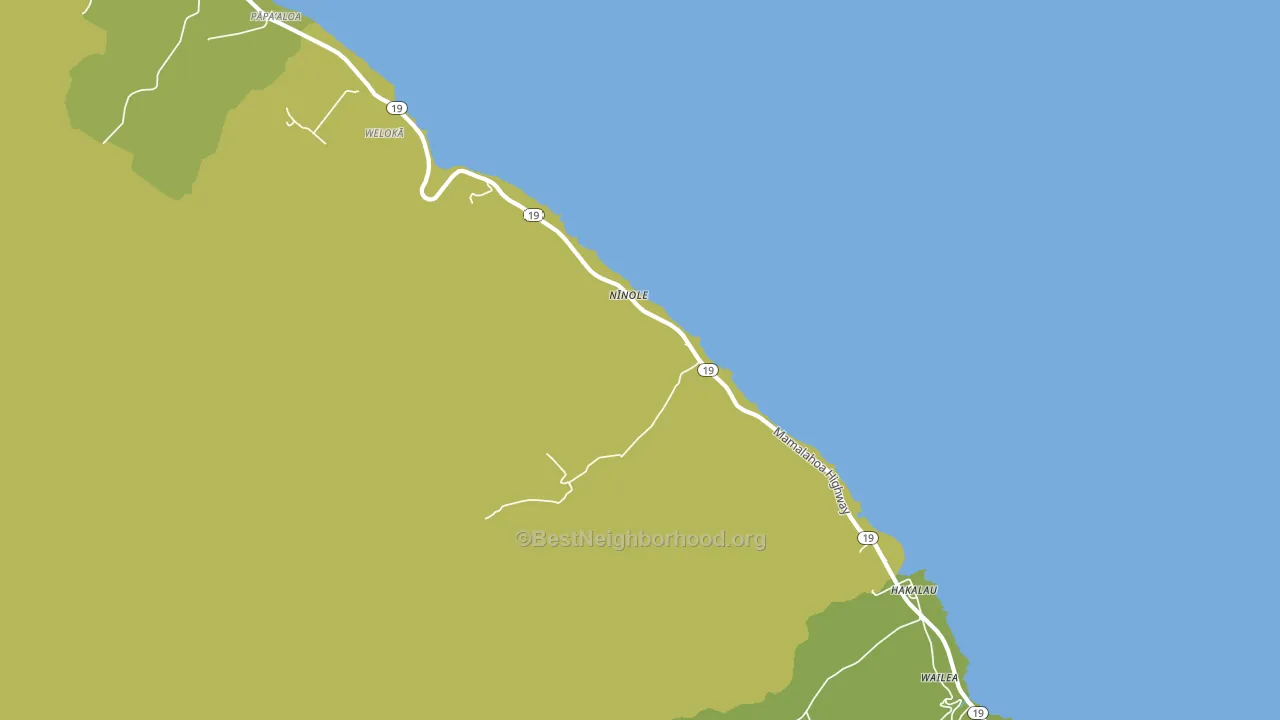 96773, HI block-group voter-turnout map