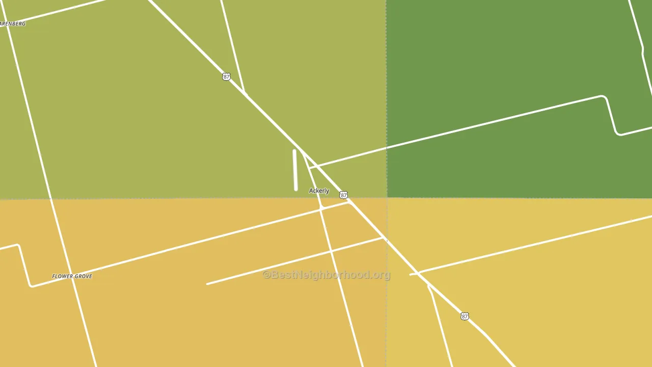 Ackerly, TX block-group voter-turnout map