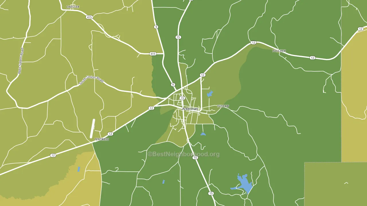 Ackerman, MS block-group voter-turnout map