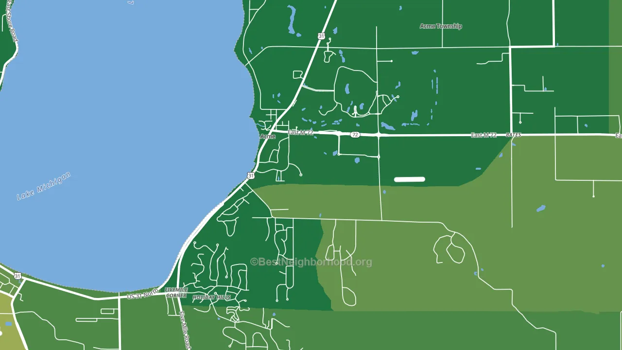 Acme, MI block-group voter-turnout map