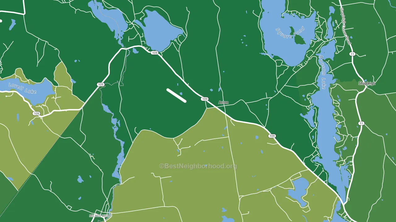 Acton, ME block-group voter-turnout map