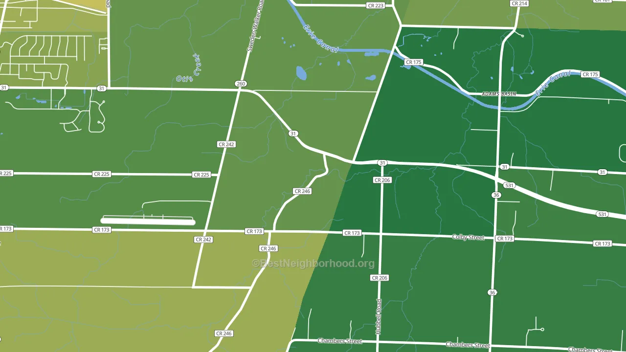 Adams Basin, NY block-group voter-turnout map