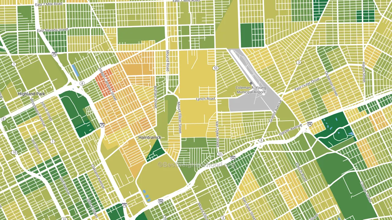 Airport, Detroit, MI block-group voter-turnout map