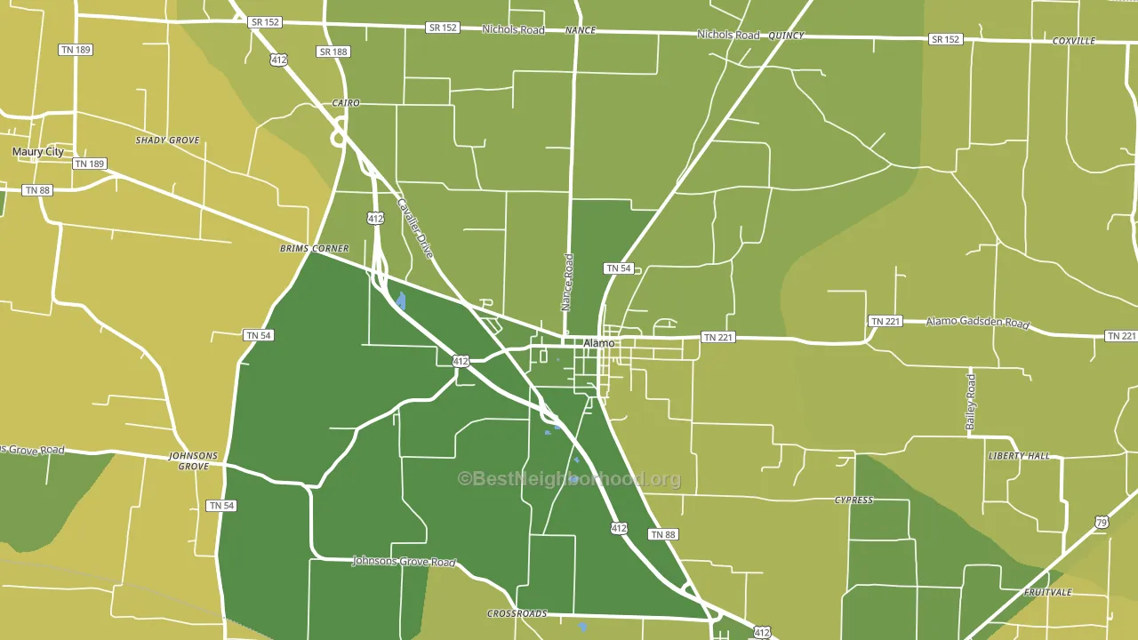 Alamo, TN block-group voter-turnout map