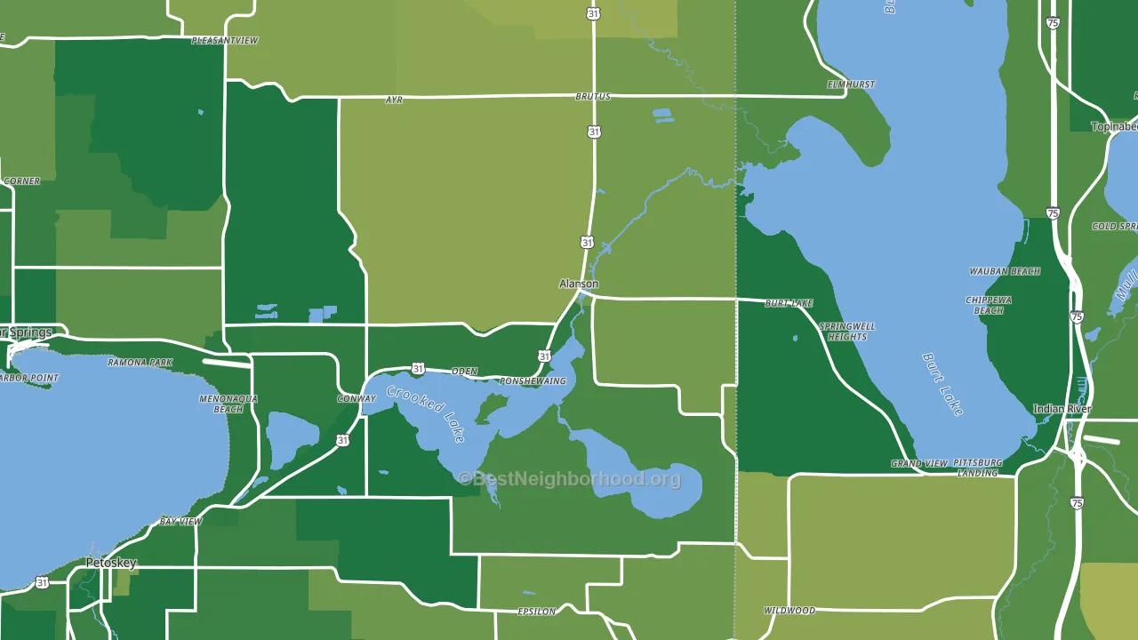 Alanson, MI block-group voter-turnout map