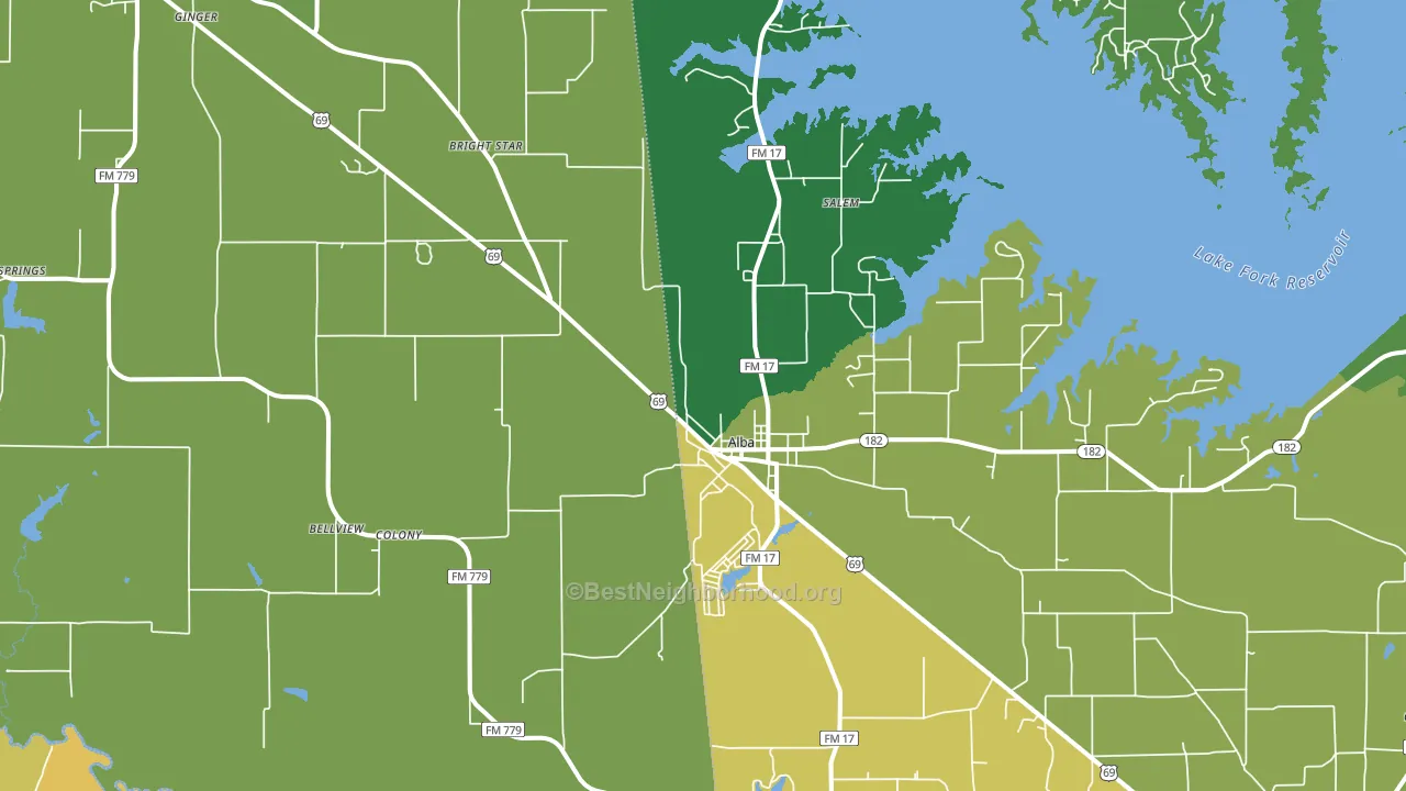 Alba, TX block-group voter-turnout map