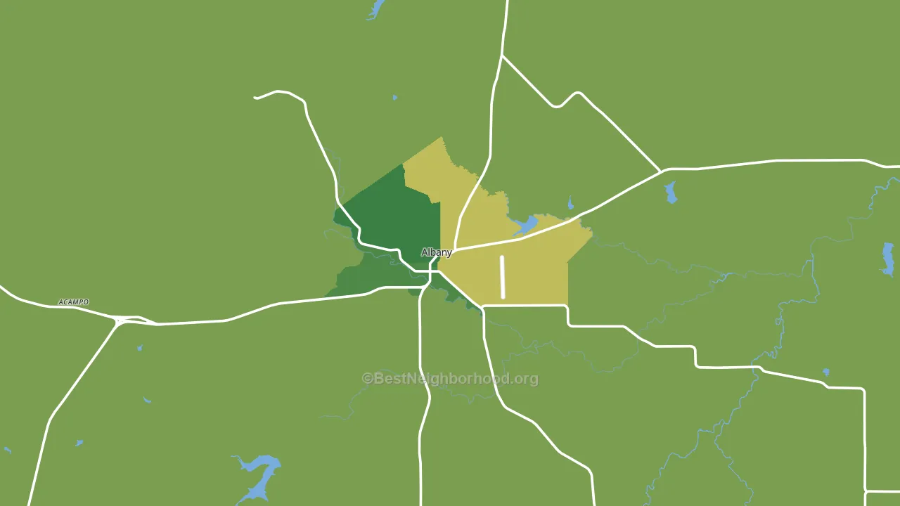 Albany, TX block-group voter-turnout map