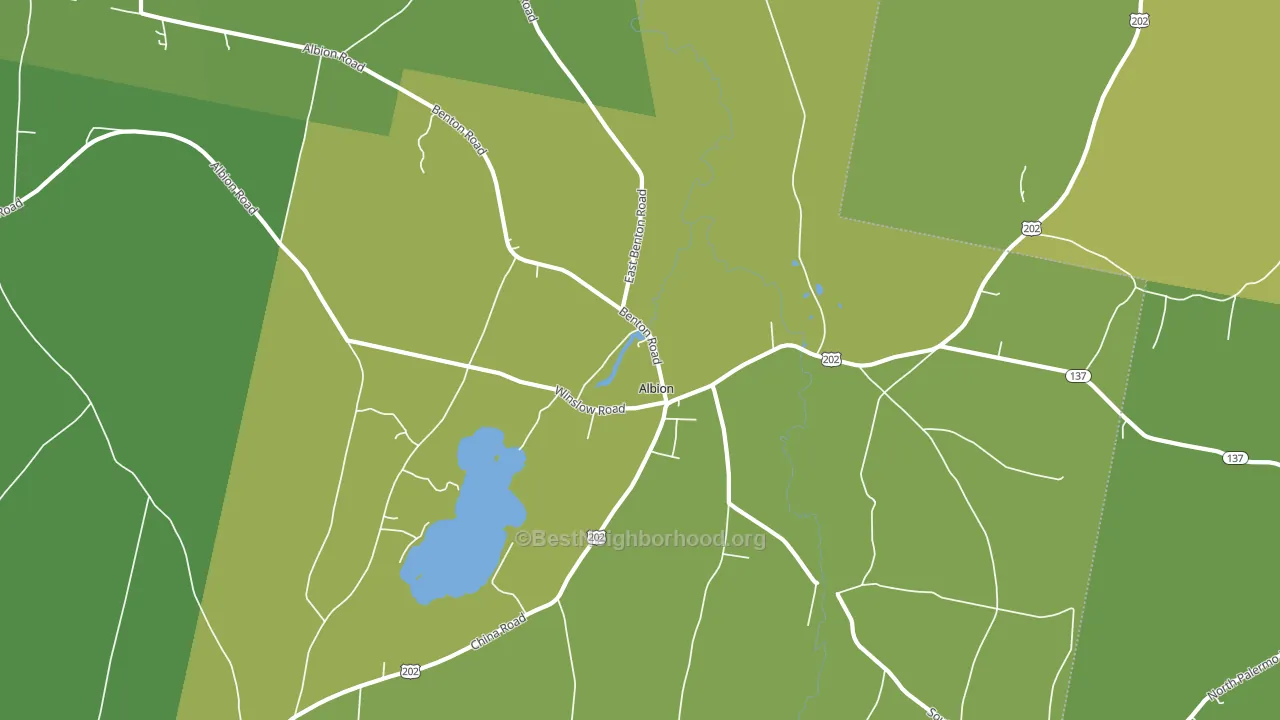 Albion, ME block-group voter-turnout map