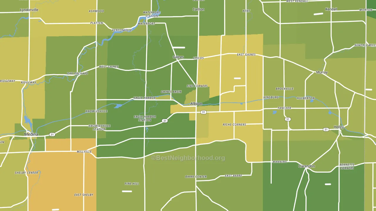 Albion, NY block-group voter-turnout map