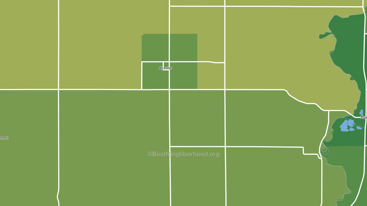 Alcester, SD block-group voter-turnout map