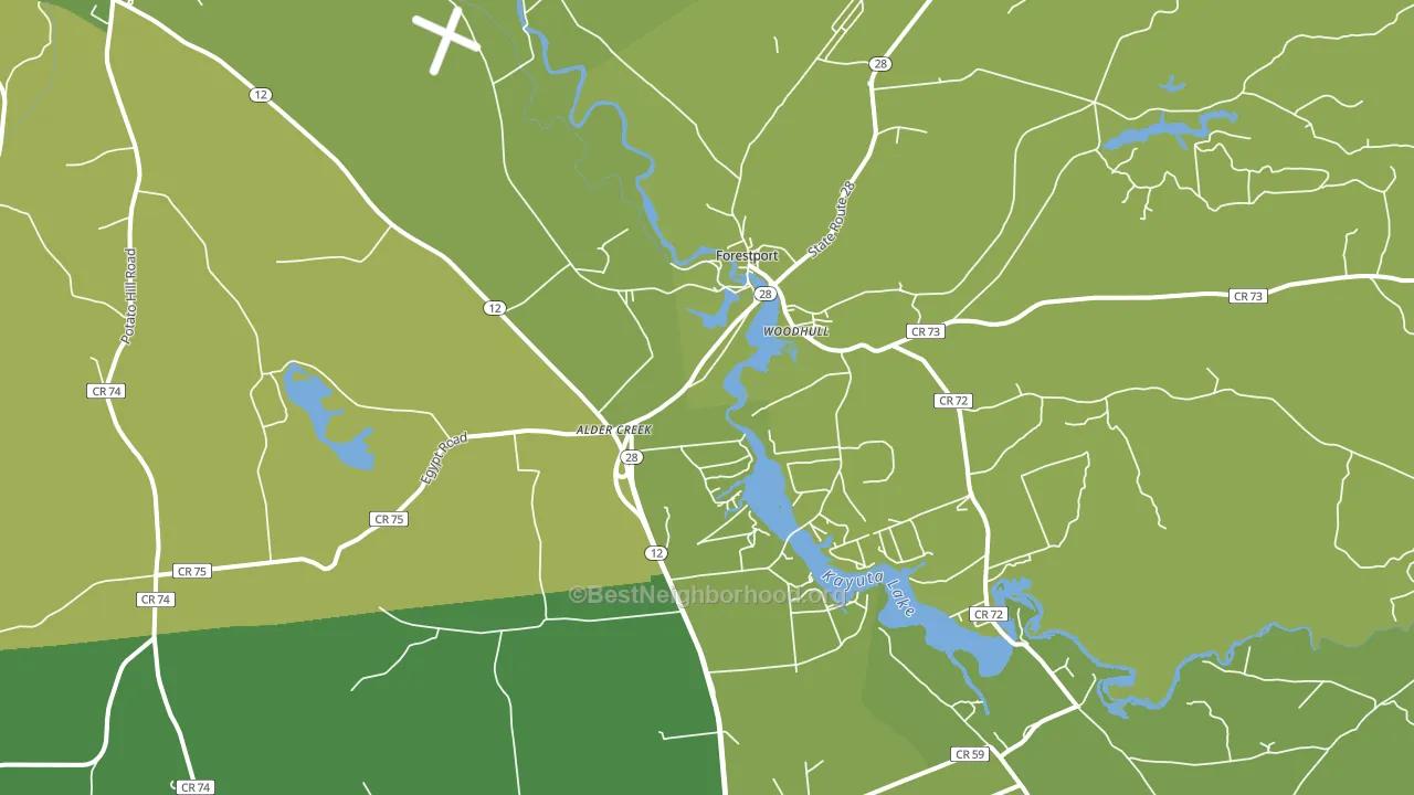 Alder Creek, NY block-group voter-turnout map