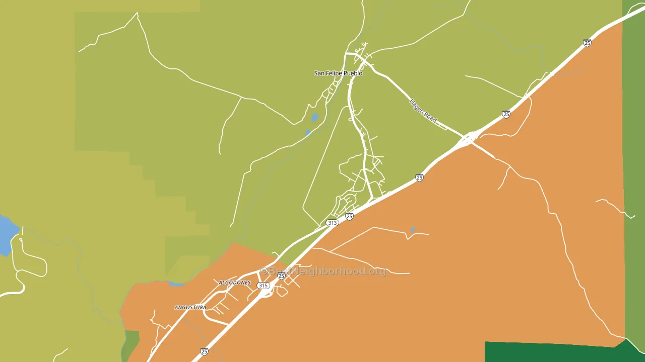Algodones, NM block-group voter-turnout map
