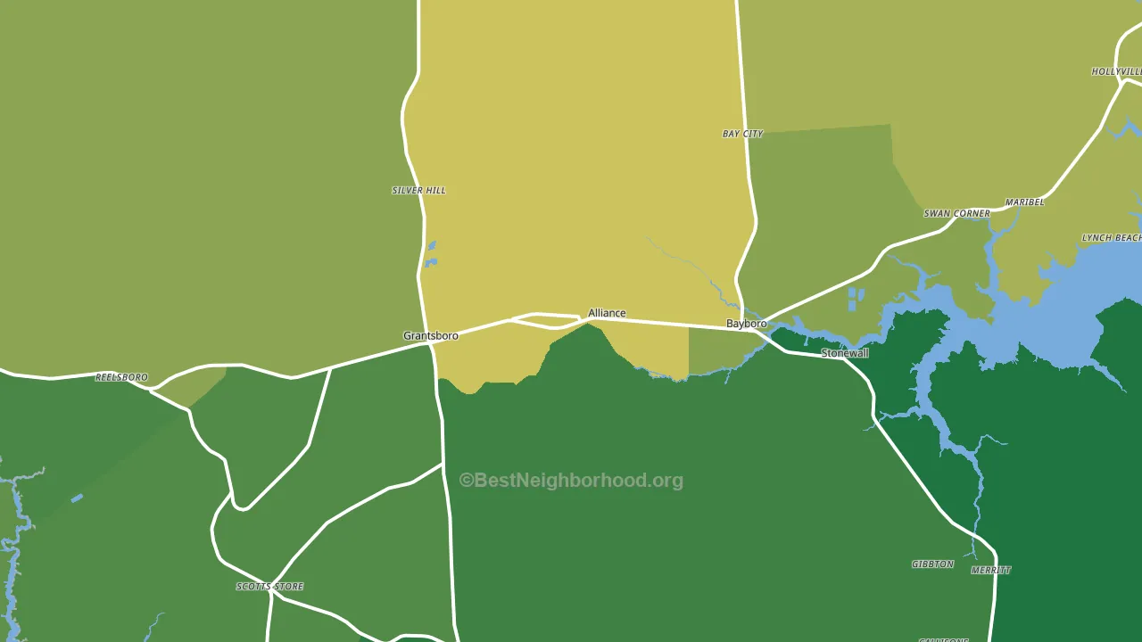 Alliance, NC block-group voter-turnout map