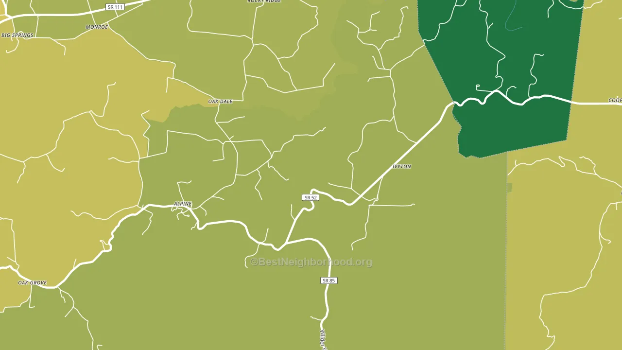 Alpine, TN block-group voter-turnout map